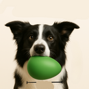 Ovo Brinquedo OvoCroc™ – Diversão Maluca para Cães