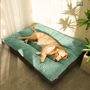 Caminha Pet Dream – O Sono de Conforto do Seu Melhor Amigo!