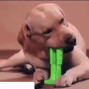 Mordedor Play&Clean – reduz tártaro e cuida dos Dentes