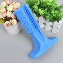 Mordedor Play&Clean – reduz tártaro e cuida dos Dentes